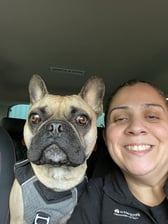 therealmrmilofrenchie