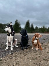 Lifewiththemuttleycrew