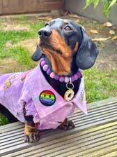 Smokey_chorizo_sausage