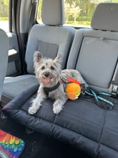 Life with MaggieSunshine