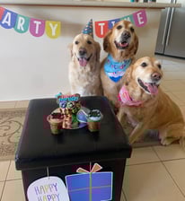 eric.aria.timmy.kiyo.simba