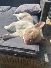 @Thewonderfullifeofmerle