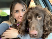 Cali_the_cocker_spaniel