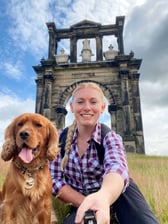 Staffordshirespaniel