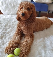 Love_bella_doodle