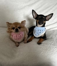 Winterandsummer_thechimodels