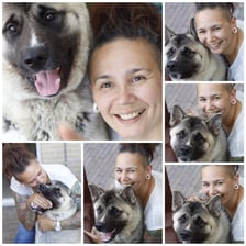 Yujin_akita_loyal_friend