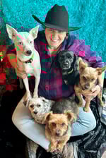 yogithesmilingyorkie