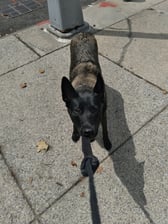 Becky handyman service