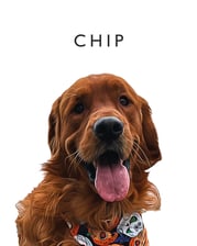 chip_chip_ahoy