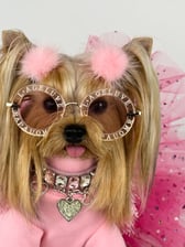 maiachanelyorkiemodel