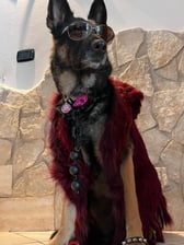 fosca_pastoretedesco