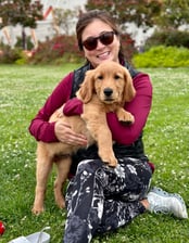 Pete_the_GoldenBoy