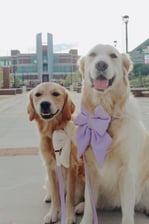 lil.rora_loves_lil.pay