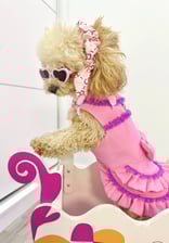 kamila.poodle