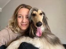 Miyazaki_afghanhound