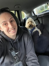 bumble_bea_the_cockapoo