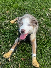 Milostormiadventured