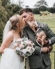 Odie.jackrussellterrier