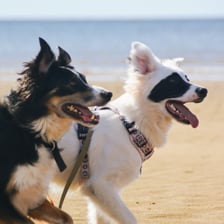 casperandthefriendlyghost