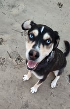 bubbaslifenow