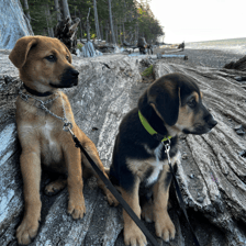tex_and_ranger