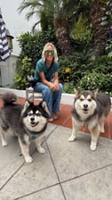 thepomskyedit