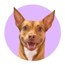 woofitslala
