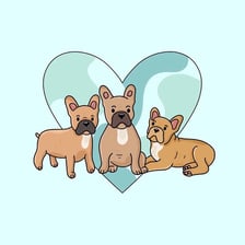 frenchbulldog_buzzandwoody