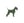 Frenky Lewis dogcare
