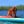 kimball_cockerspaniel