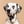 Lola