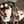 muttskyclub