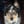 Goose