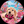 pollypocketdach