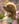 lester_the_cavachon