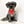 Albie