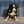 Anouk