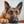 Amy