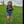 Kathrine