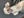 Jess