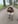 Alfie