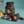 exotic_bulldog_buddy