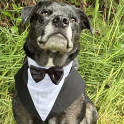 Adognamed0