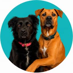 Maisie and Frank