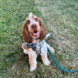 Grace