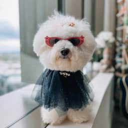Monty