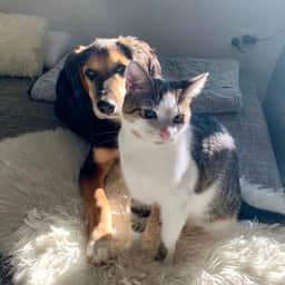 Lenny & Leo