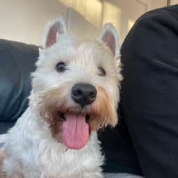 Millie
