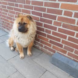 Zoë